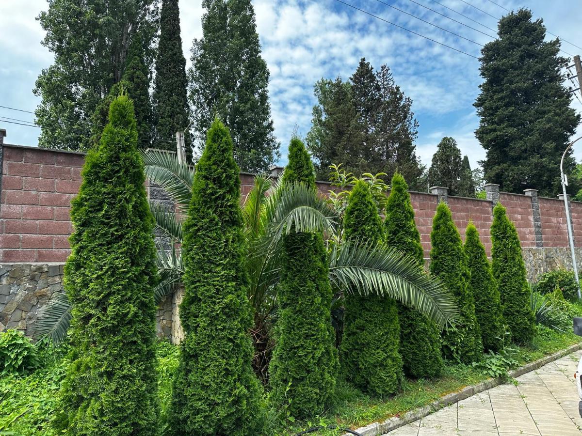 Anastasia Goedaoeta Buitenkant foto